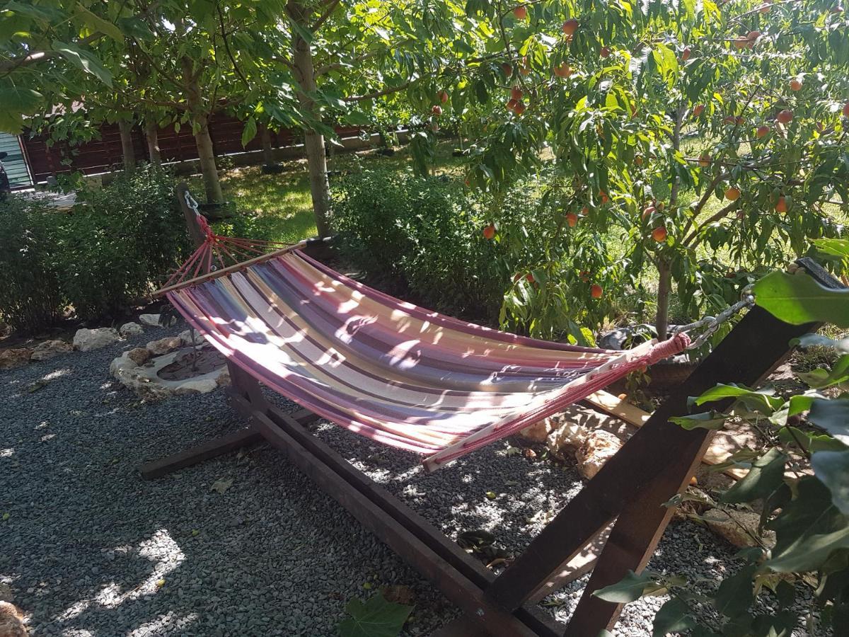 Casa Magnolia 호텔 Douăzeci şi Trei August 외부 사진