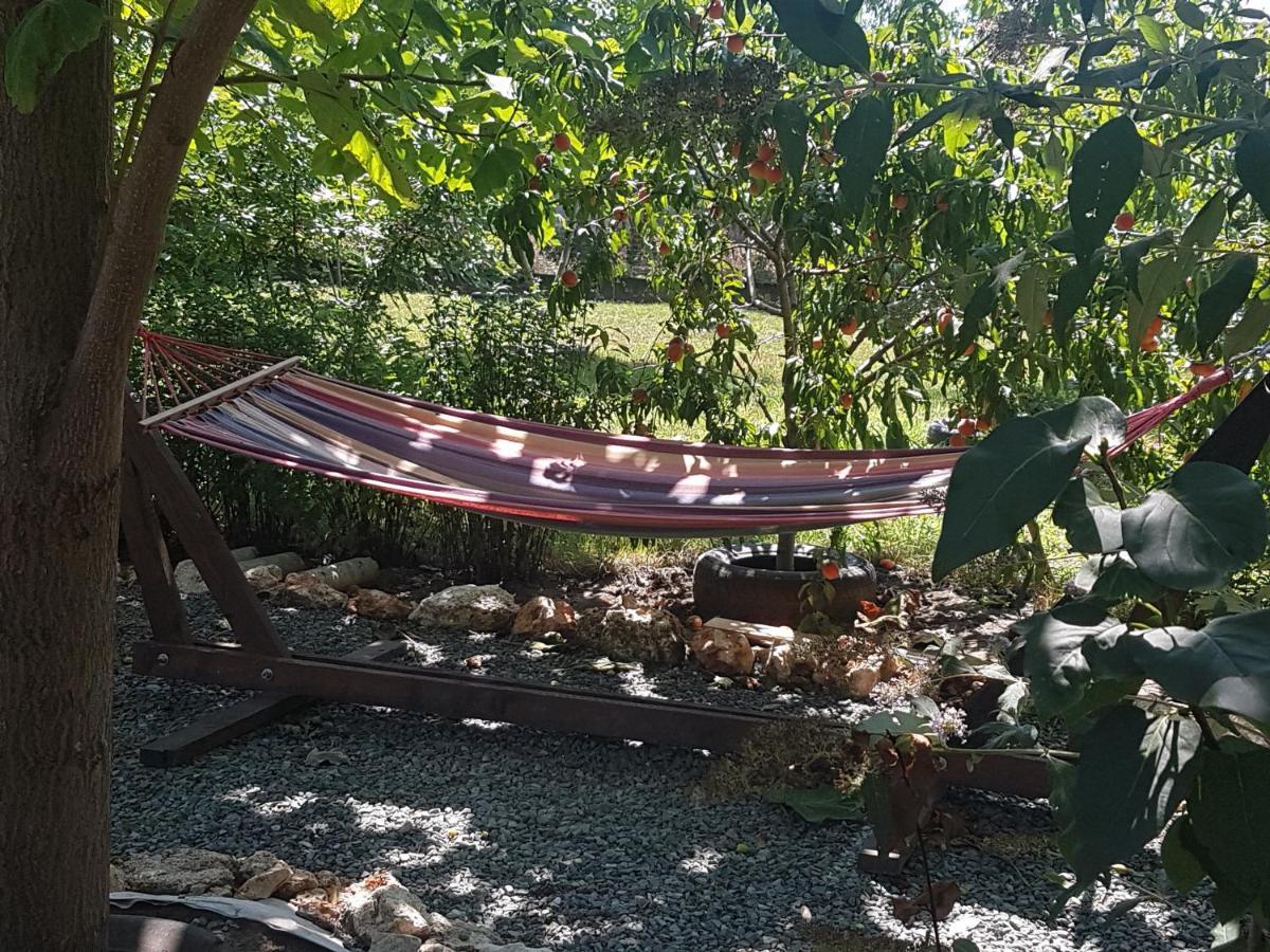 Casa Magnolia 호텔 Douăzeci şi Trei August 외부 사진