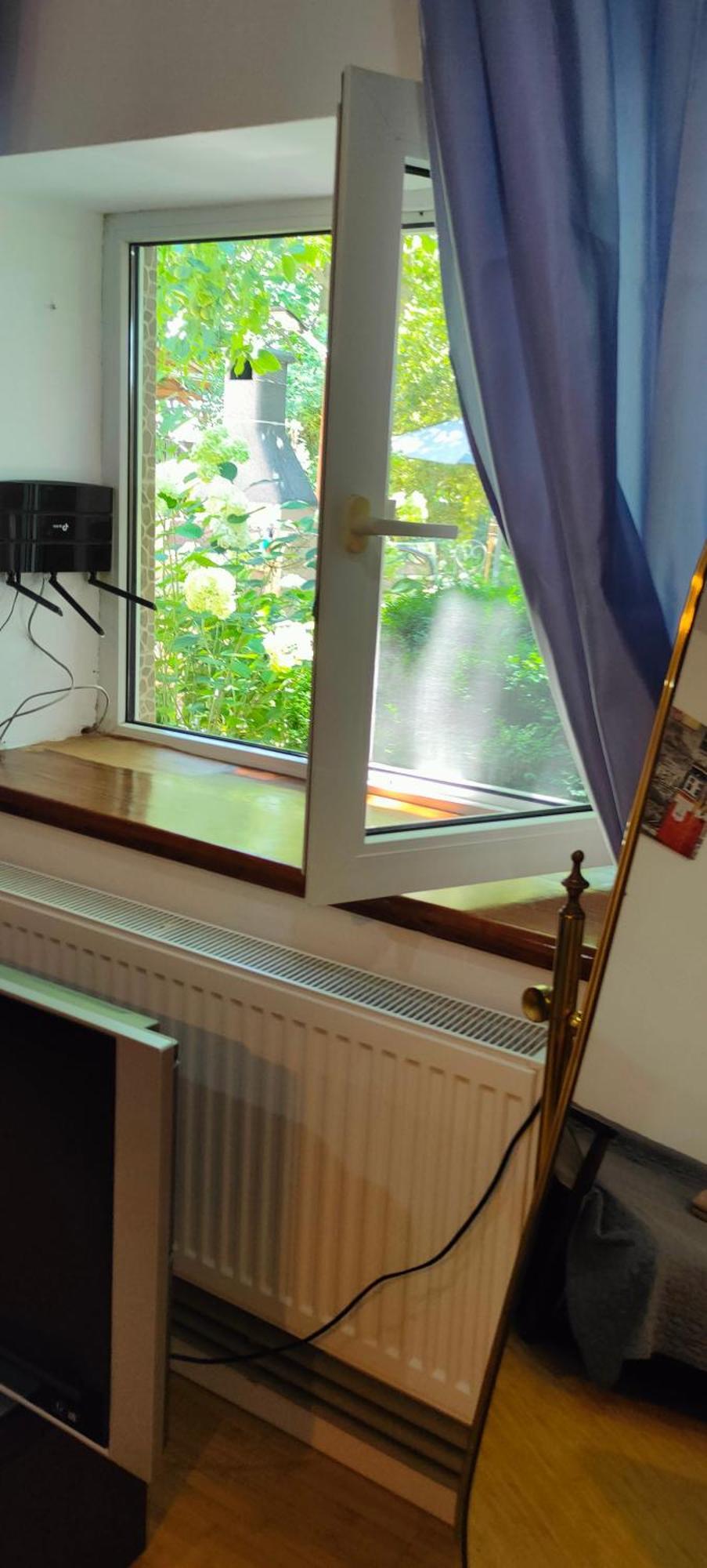 Casa Magnolia 호텔 Douăzeci şi Trei August 외부 사진