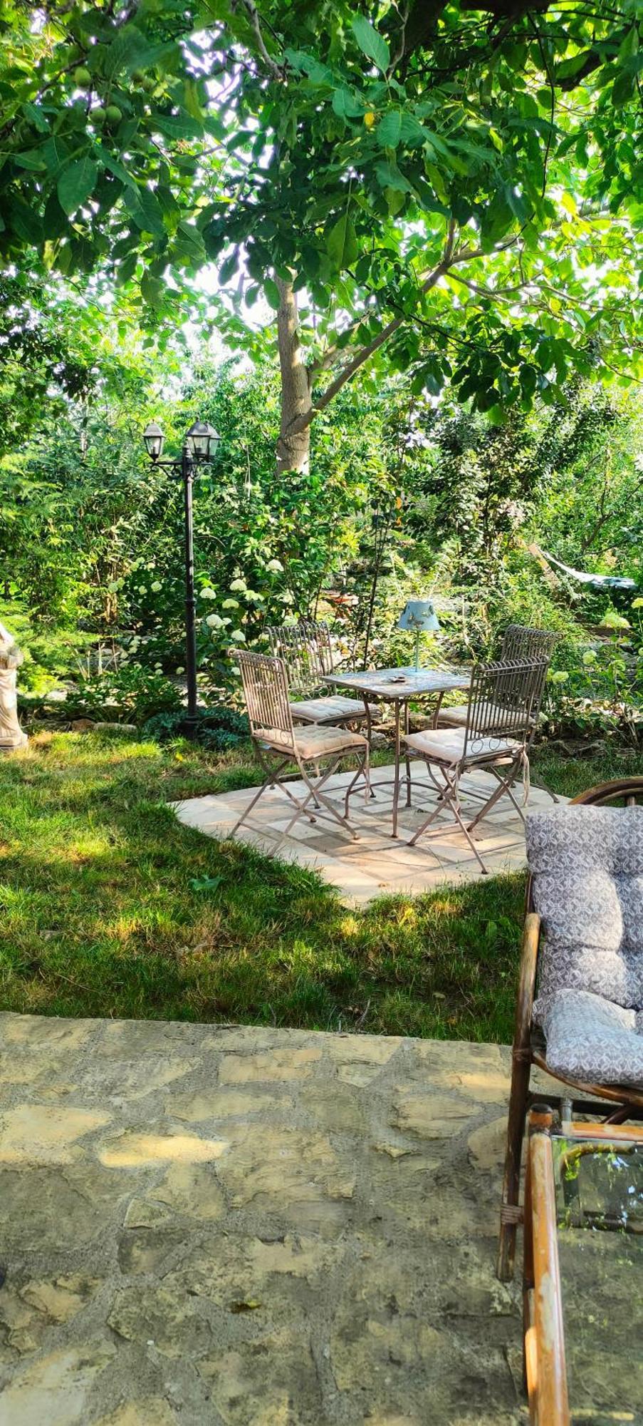 Casa Magnolia 호텔 Douăzeci şi Trei August 외부 사진